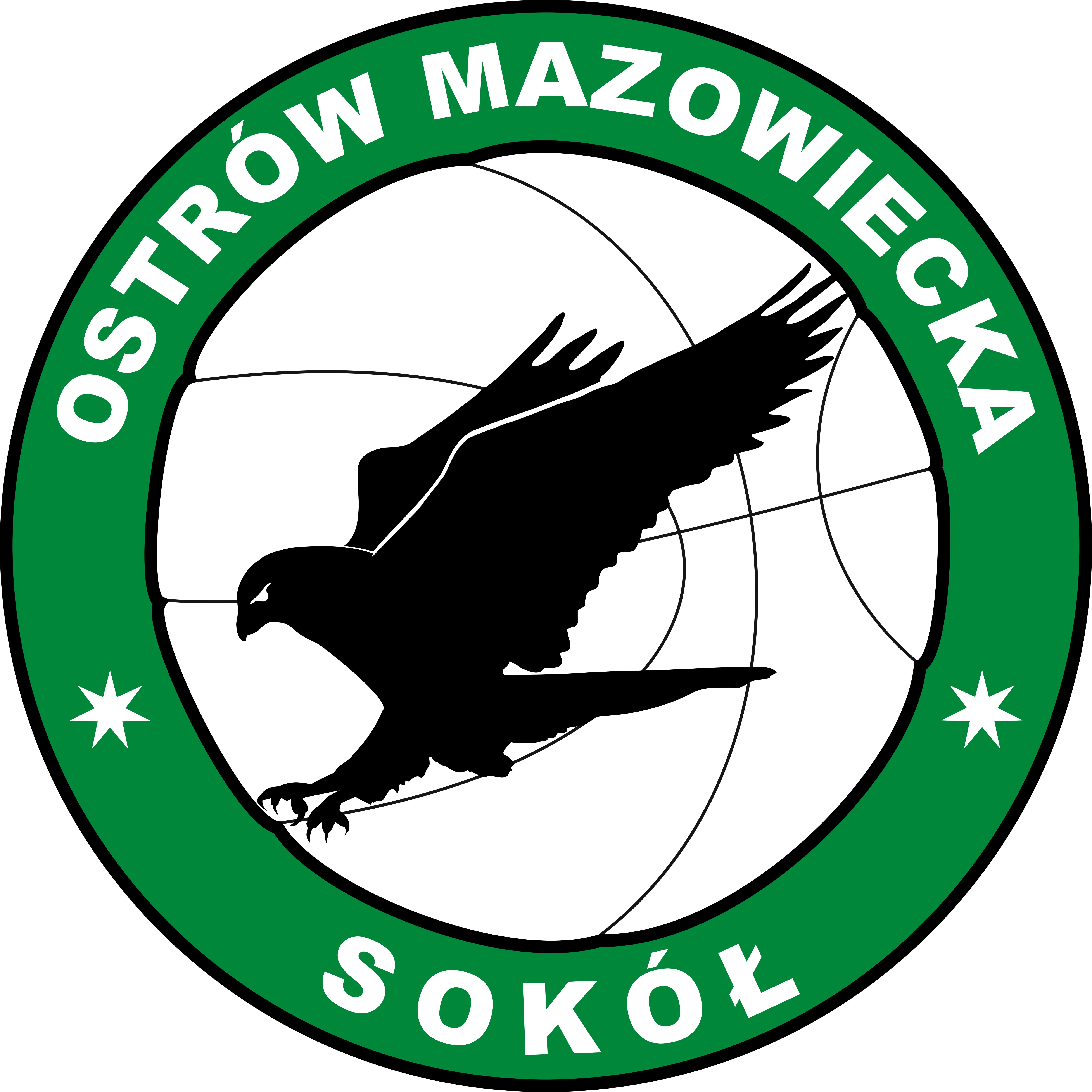 Logo Sokoła